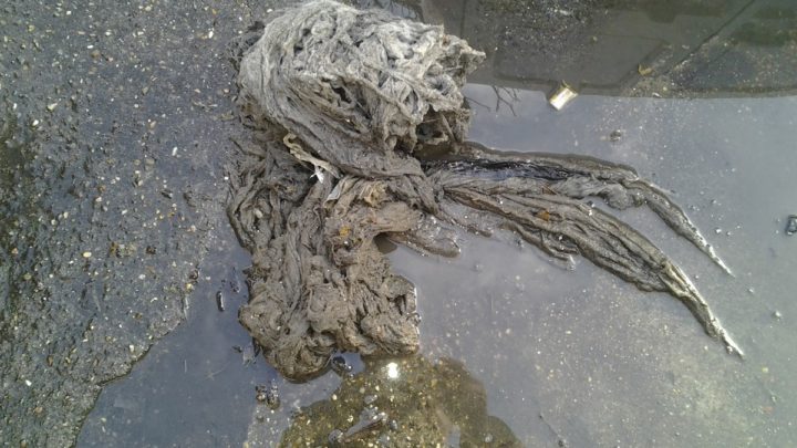 lingettes dans les égouts